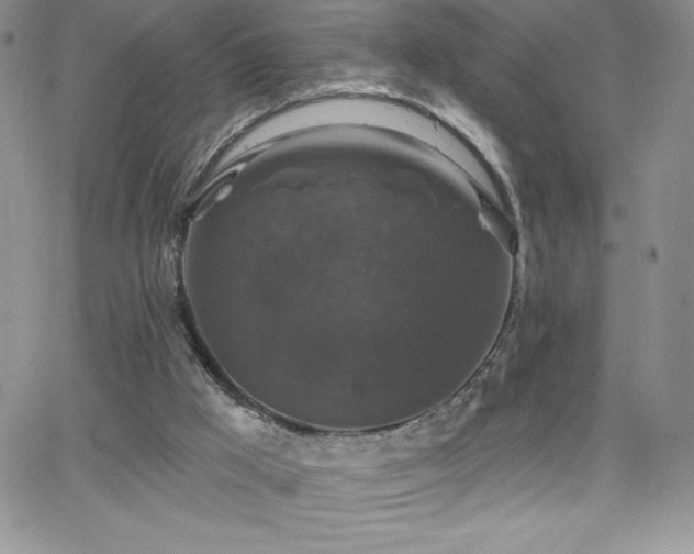 X0000066510009200603201310