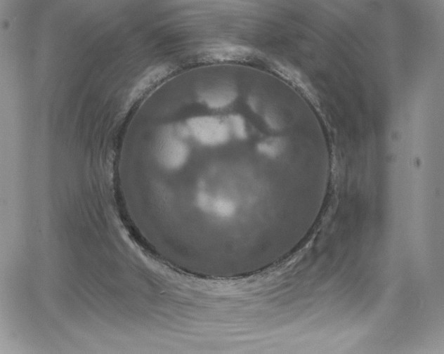 X0000066510010200603201310