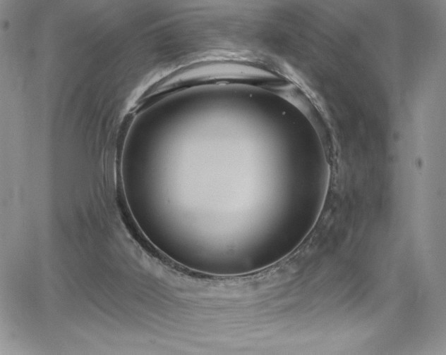 X0000066510011200603201310