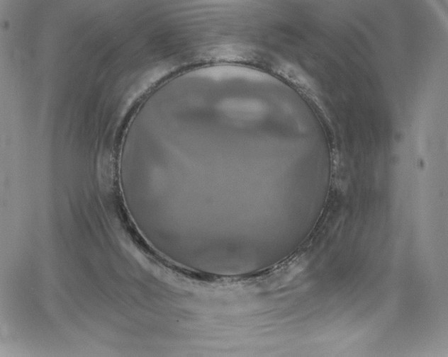 X0000066510012200603201310