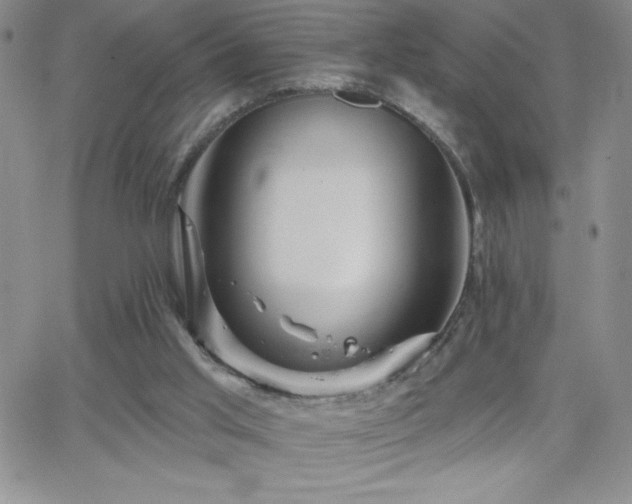 X0000066510013200603201310