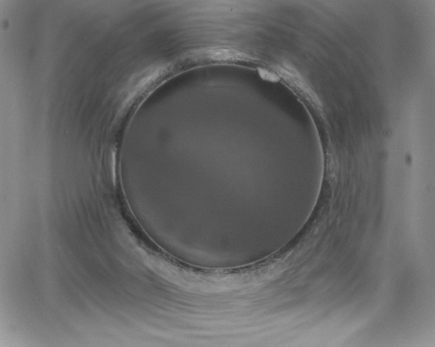 X0000066510014200603201310