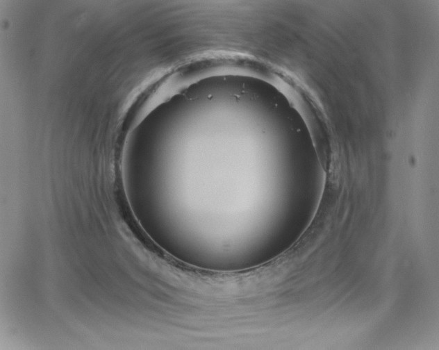 X0000066510015200603201310