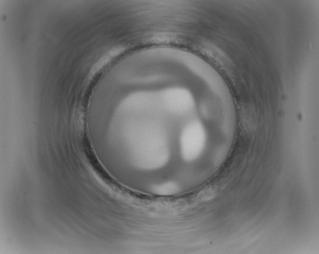 X0000066510016200603201310