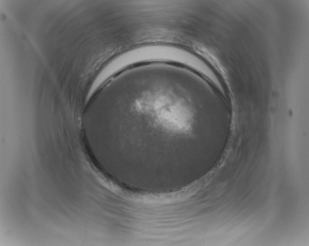 X0000066510017200603201310