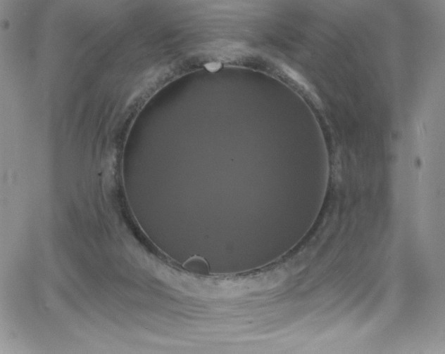 X0000066510018200603201310