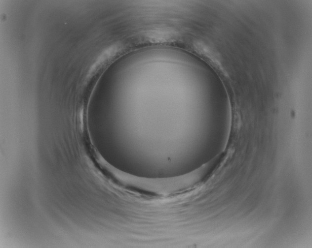 X0000066510019200603201310