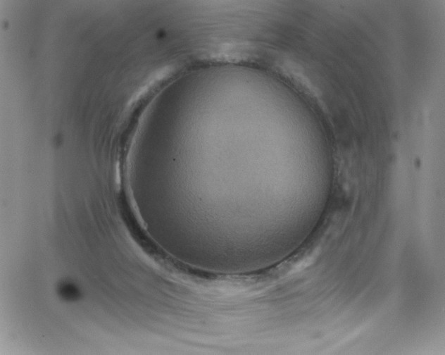 X0000066510020200603201310