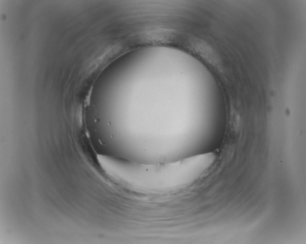 X0000066510021200603201310