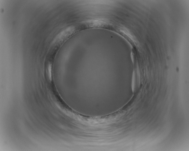 X0000066510022200603201310