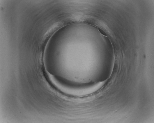 X0000066510023200603201309