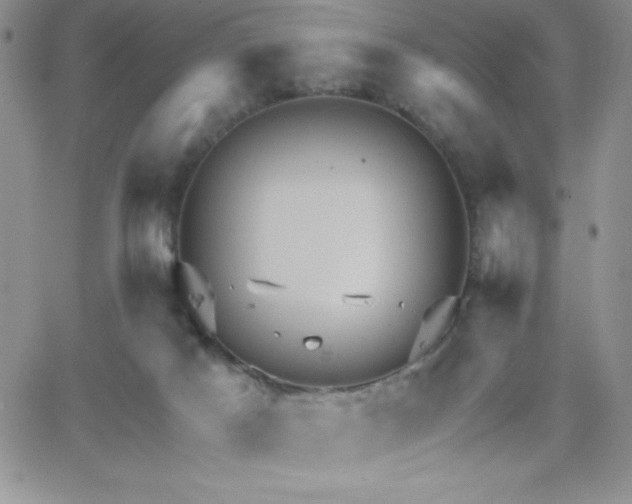 X0000066510025200603201309