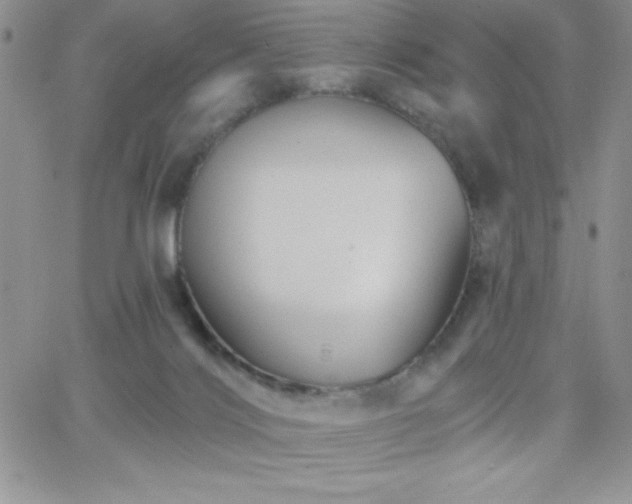 X0000066510028200603201309