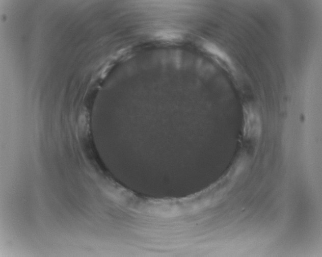 X0000066510029200603201309