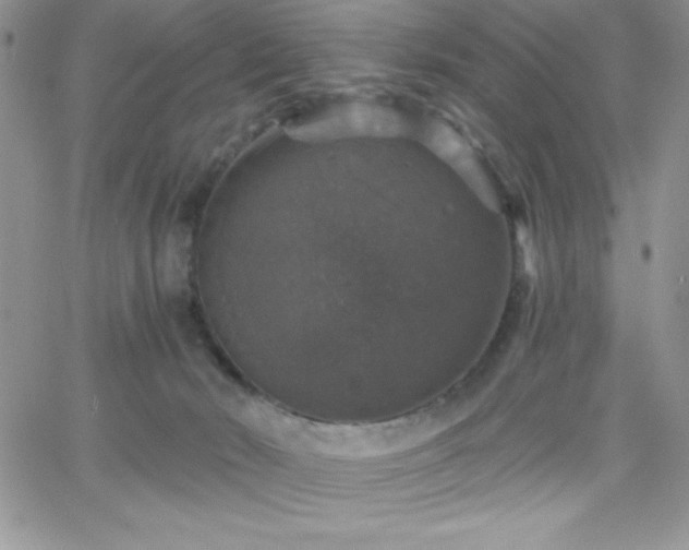 X0000066510030200603201309