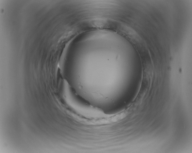 X0000066510031200603201309