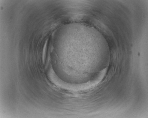 X0000066510033200603201309