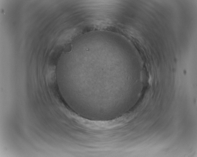 X0000066510034200603201309