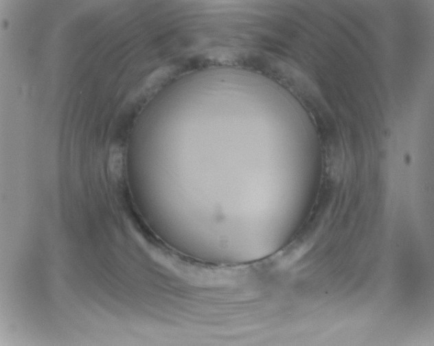 X0000066510036200603201309