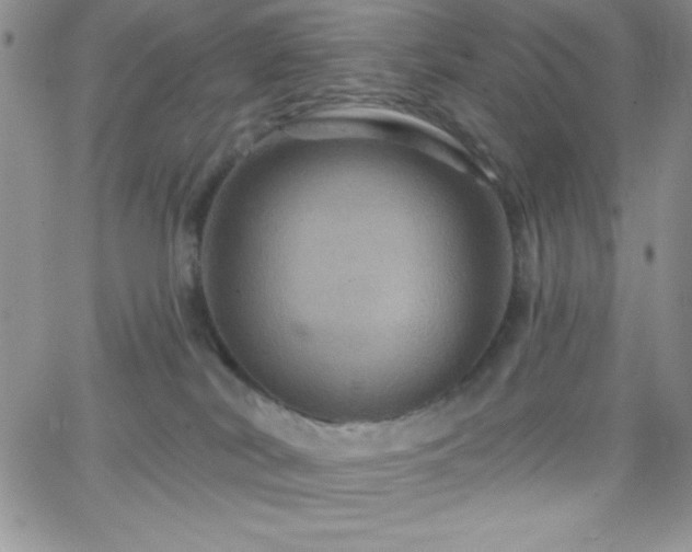 X0000066510038200603201309