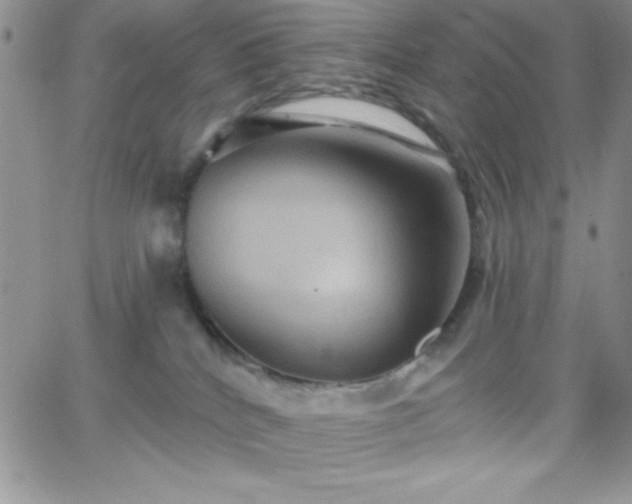 X0000066510040200603201309