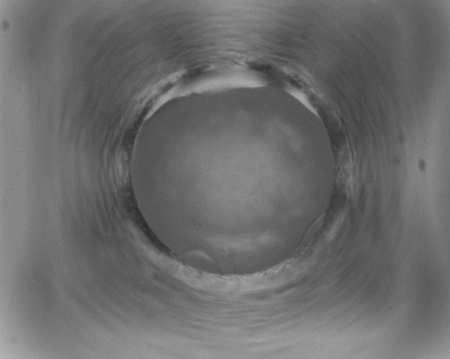 X0000066510043200603201309