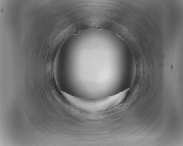 X0000066510044200603201309