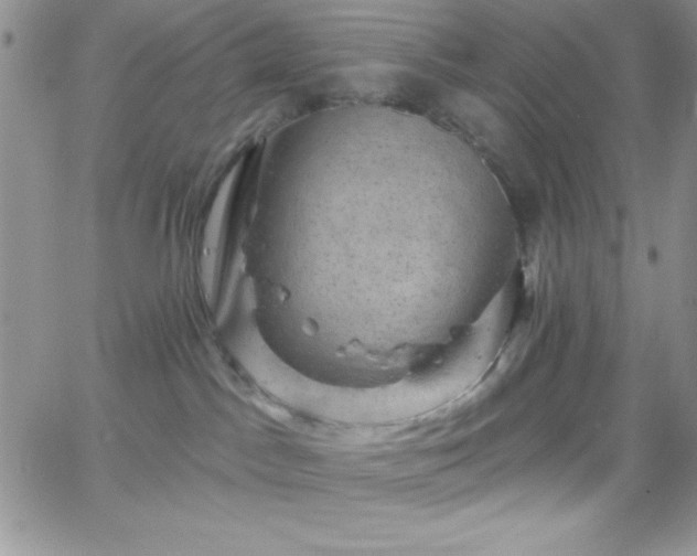 X0000066510045200603201309