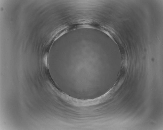 X0000066510047200603201309