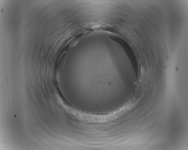 X0000066510048200603201309