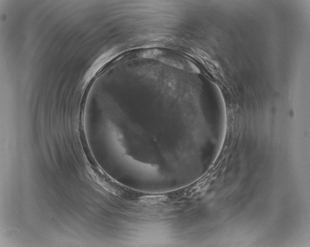X0000066510051200603201308