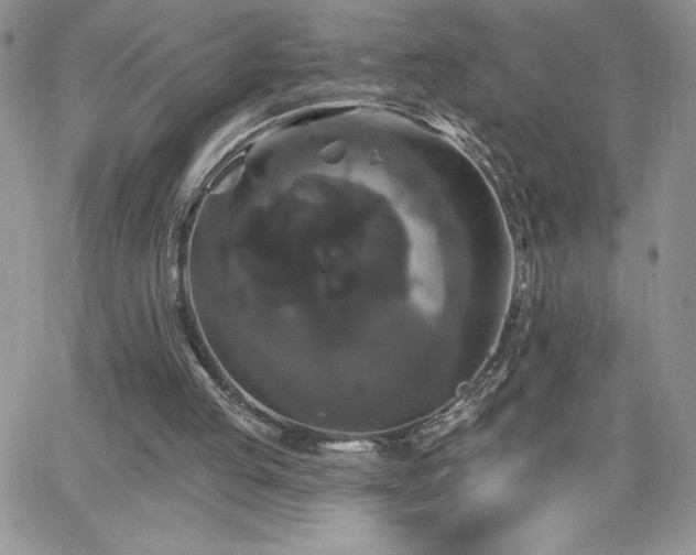 X0000066510053200603201308