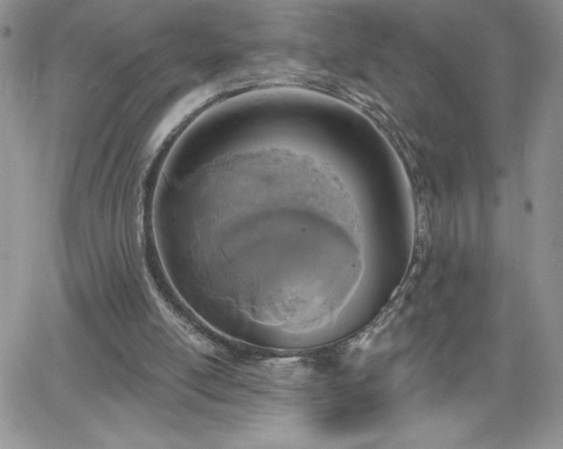 X0000066510054200603201308