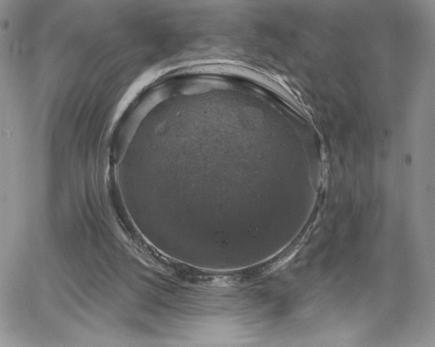 X0000066510056200603201308