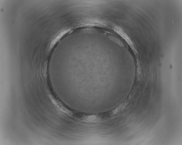 X0000066510058200603201308