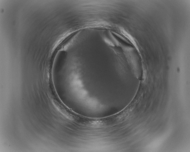 X0000066510059200603201308