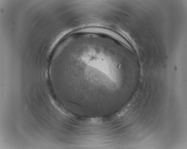 X0000066510060200603201308