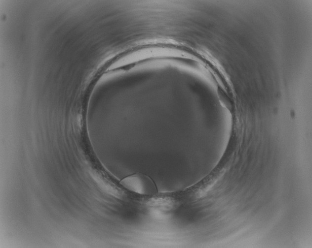 X0000066510063200603201309