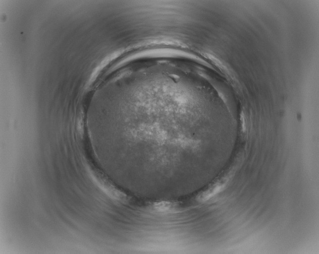 X0000066510064200603201309