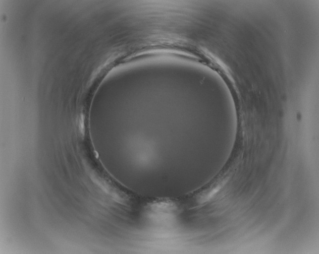 X0000066510067200603201309