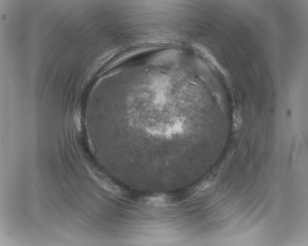 X0000066510068200603201309