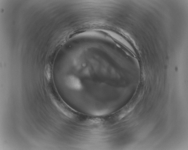 X0000066510069200603201309