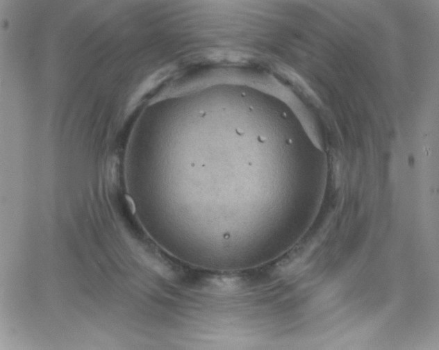 X0000066510071200603201309