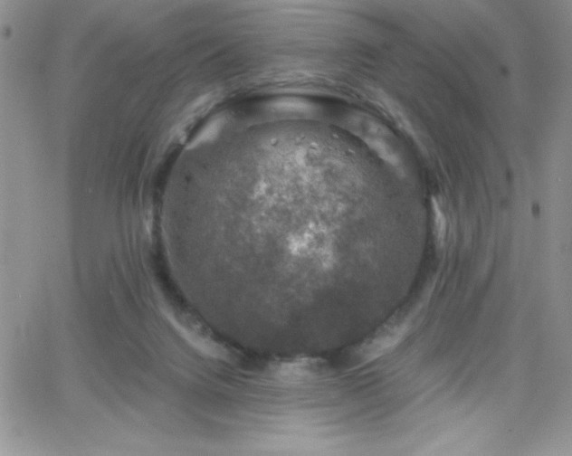 X0000066510072200603201309