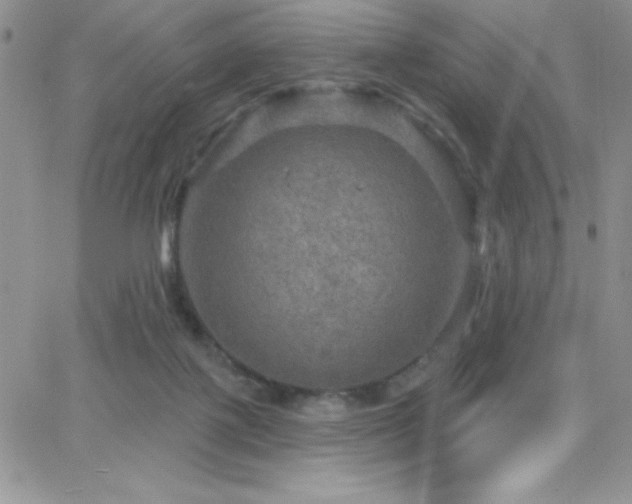 X0000066510075200603201309