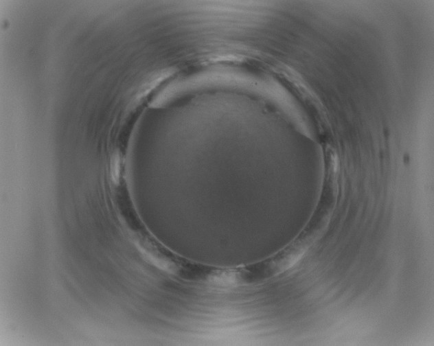 X0000066510076200603201309