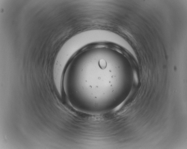 X0000066510077200603201309