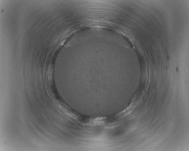 X0000066510078200603201309