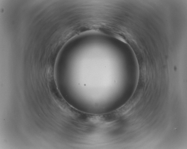 X0000066510079200603201309