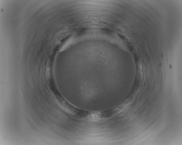 X0000066510080200603201309